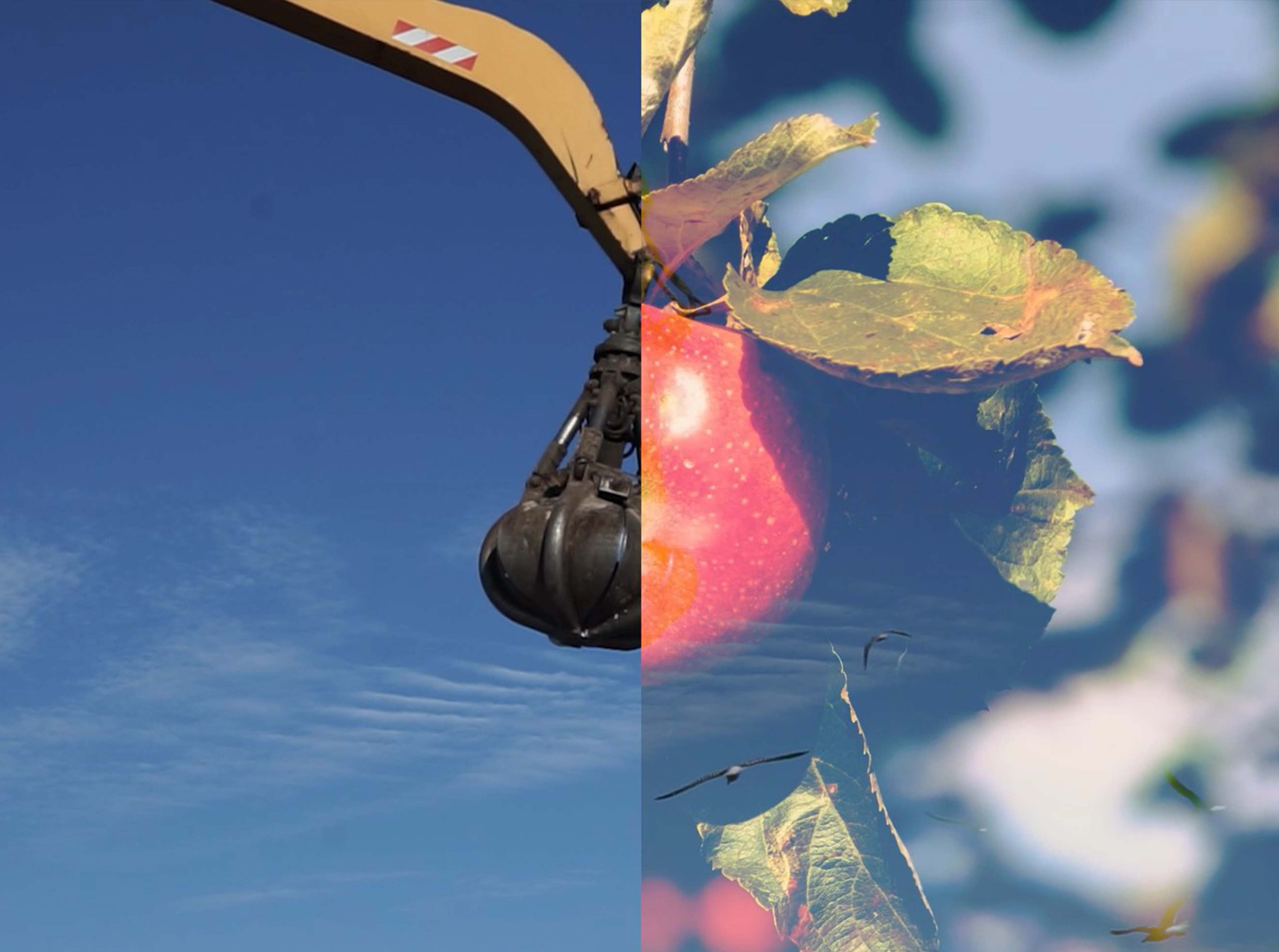 ÉTELKÉPEK – FOODSCAPES